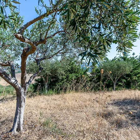 La Nella Valle Dei Templi * Agrigento