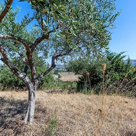 Chalet La Nella Valle Dei Templi Agrigento